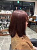 ボルドーカラー