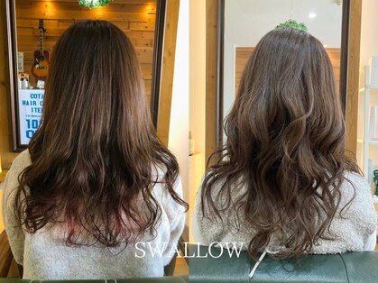 スワロー(SWALLOW)の写真