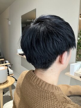 本と南風 guest design