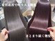 リル(Lille 橋本)の写真