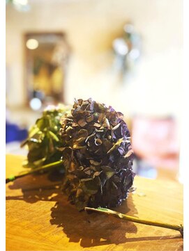 カミトハナ ドライフラワー販売も行っています♪お気軽にお立ち寄りください