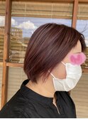 メッシュ
