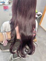 エルパライソ リフォ(Elparaiso Reff)&nbsp;ボルドーカラー