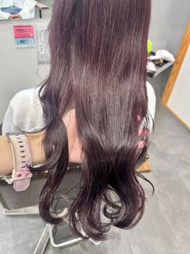 エルパライソ リフォ(Elparaiso Reff) ボルドーカラー