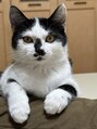 チャコ ジー(cyaco g)&nbsp;相棒のナナ助(♂)です^._.^犬猫大好きです！