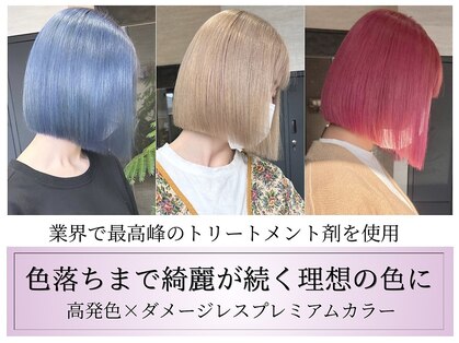 ビセ(VISE)の写真