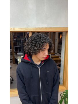 ハニートラップ(HONEY TRAP!) アフロパーマ