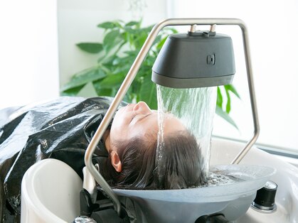 ヴァンガード(Vanguard)の写真