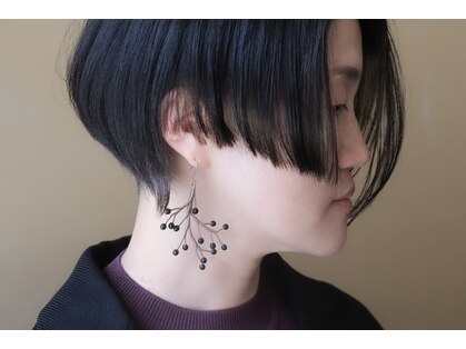 ザズー 髪と図書(zazou)の写真