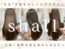 シャール(shall)