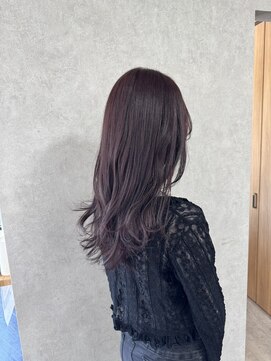 ディルガ リンク(Dilga LINK) プラム系ワインレッドカラー