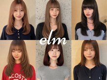 エルム(elm)