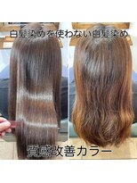 セックヘアデザイン(Sec hair design)&nbsp;白髪染めを使わない白髪染め《髪質改善カラー》