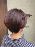 田中 guest1