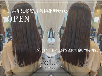 ベールアップバイパーリオ(veilup by PALIO)