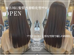 veilup by PALIO【ベールアップ バイ パーリオ】