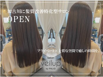 veilup by PALIO【ベールアップ バイ パーリオ】