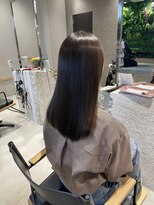 ポラリス(Polaris) ダークモカブラウン 艶カラー