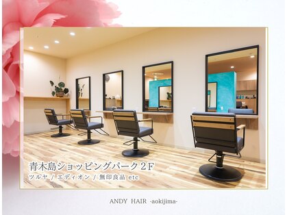 アンディヘア アオキジマ(ANDY HAIR aokijima)の写真