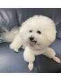 プレミアムバーバー 原宿店(PREMIUM BARBER produce by HIRO GINZA) 愛犬が一番です！
