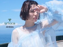 トリッカアヴェダ(tricca AVEDA)