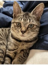 美容室ユアマージュ 富谷店&nbsp;加藤 楓