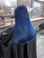 サニーサイド 大名(Sunny side)&nbsp;【ダブルカラー】【ネイビーカラー】【ブルーヘア】