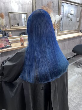 サニーサイド 大名(Sunny side) 【ダブルカラー】【ネイビーカラー】【ブルーヘア】