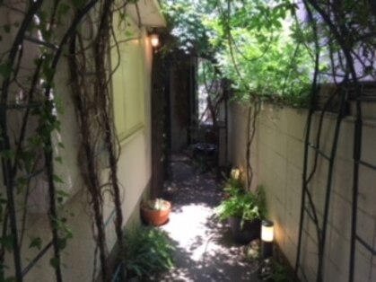 トゥワード(TOWARD)の写真