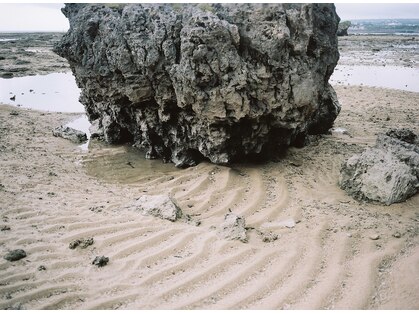 ス キョウト(su kyoto)の写真