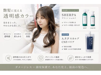 アイス(ice)の写真