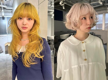 フェブ(fev)の写真