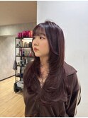 【プレミアムカラー】ワインレッド【新宿】