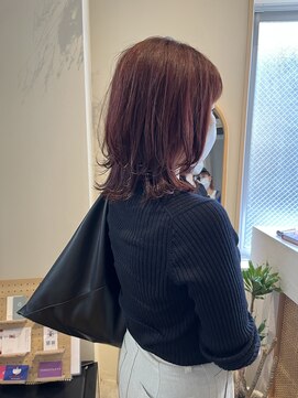 エディ(eddie) 【eddie】オレンジボブウルフ