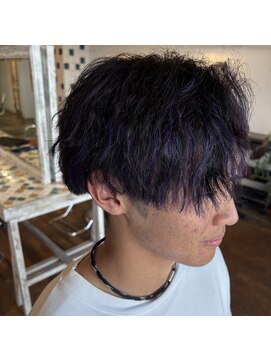 ティサ(Tisa) ヴァイオレットハイライト