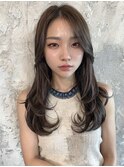 韓国レイヤーロング美髪グレージュアッシュインナーグレージュ