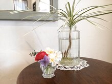 セレンディピティ 流山おおたかの森(Serendipity)の雰囲気（お花や観葉植物で飾られ心がほぐれる空間）