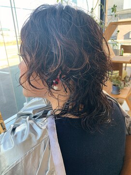 パーム スプリングス(Palm Springs) Hair by Palm Springs 101