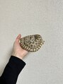 シャル 町田(shalu) かわいいうちのおへび