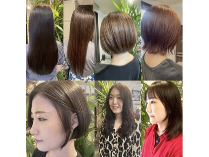 オリーブ(Olive)の写真