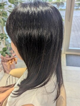 ポラリス(polaris) イオントリートメント