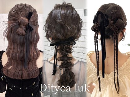 ディティカ ルーク(Dityca luk)の写真