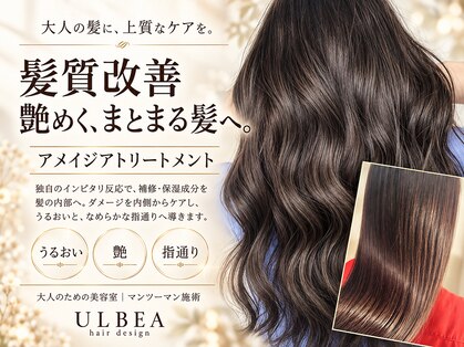 アルビア(ULBEA)の写真