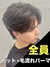 【夏井指名限定】メンズカット+毛流れパーマ ￥14000