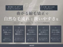 アンシェル(an-ciel)の雰囲気("anciel"縮毛矯正の強み)