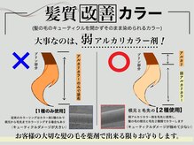 ノア(NOA)の雰囲気（お客様の大切な髪の毛を薬剤で出来る限りお守りします。）
