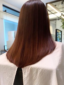 シェルハ(SHELHA)の写真/【宇都宮】ブリーチ毛とも相性◎傷んだ髪も素髪のような美しさに◇次世代髪質改善TR”バイカルテ”取り扱い