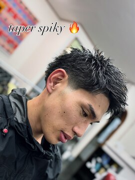 やすらぎの部屋 おざわ テーパースパイキー