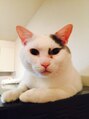 アス(Us) 猫を飼ってます。白に黒のブチ模様が可愛い猫です。