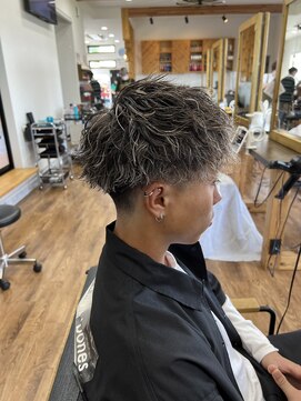 ルッカヘアガーデン バイ ラッシュゴールド(RUCCA HAIR GARDEN by LUSH GOLD) 白メッシュ×ツイスパ